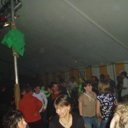 .kapotte palmboom - Scouts en Gidsen Zaventem 