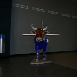 PIC 0013 - Scouts en Gidsen Zaventem 