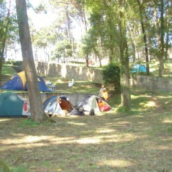 DSC01854 - Scouts en Gidsen Zaventem 