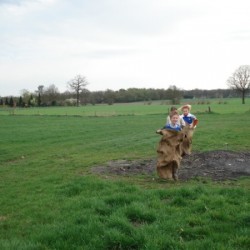 DSC03102 - Scouts en Gidsen Zaventem 