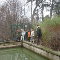 DSC03571 - Scouts en Gidsen Zaventem 
