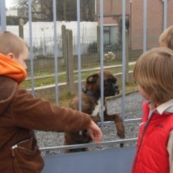 SDC11709 - Scouts en Gidsen Zaventem 