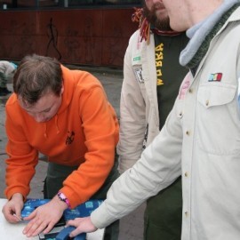 37173 1415146681831054 1940677258857626426 o - Scouts en Gidsen Zaventem 