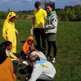 DSC 0116 - Scouts en Gidsen Zaventem 