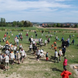 DSC 0201 - Scouts en Gidsen Zaventem 