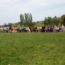 DSC 0226 - Scouts en Gidsen Zaventem 