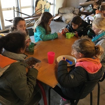 33187 1647414112013507 1172441576 o - Scouts en Gidsen Zaventem 