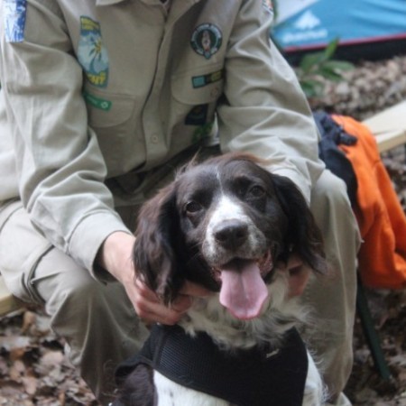 IMG 4798 - Scouts en Gidsen Zaventem 