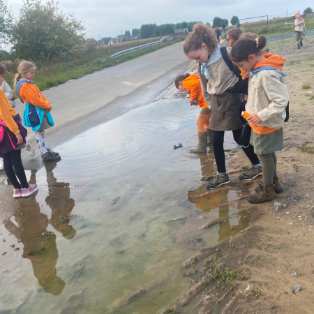 IMG 9139 - Scouts en Gidsen Zaventem 