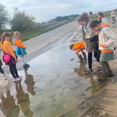 IMG 9140 - Scouts en Gidsen Zaventem 