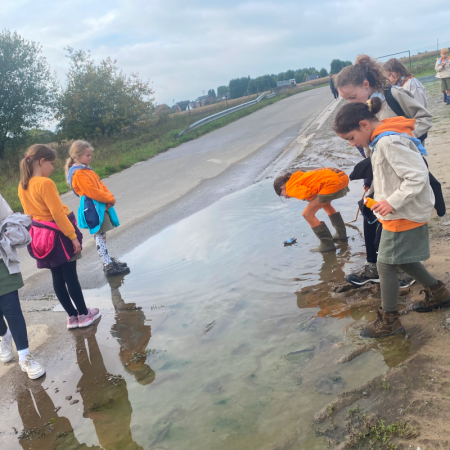 IMG 9141 - Scouts en Gidsen Zaventem 