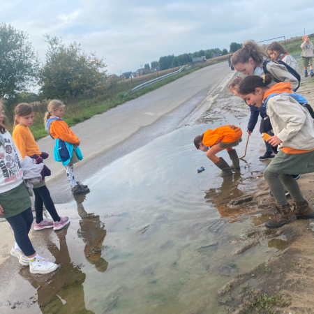 IMG 9142 - Scouts en Gidsen Zaventem 