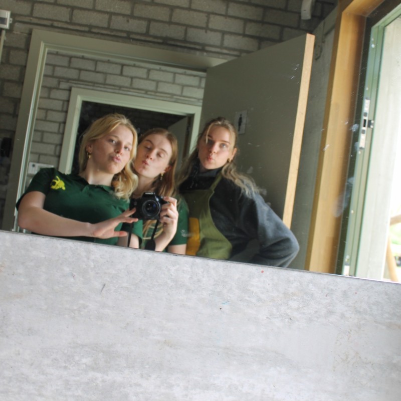 IMG 8434 - Scouts en Gidsen Zaventem 