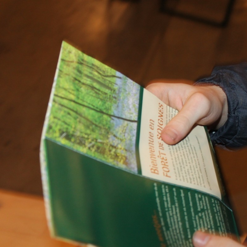 IMG 6197 - Scouts en Gidsen Zaventem 