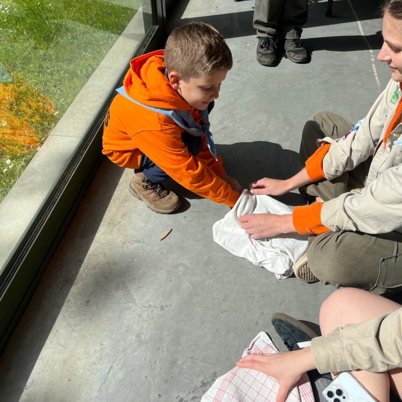 IMG 5995 - Scouts en Gidsen Zaventem 