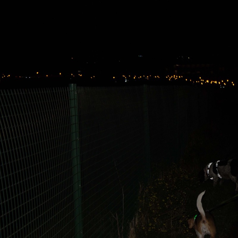 IMG 2364 - Scouts en Gidsen Zaventem 