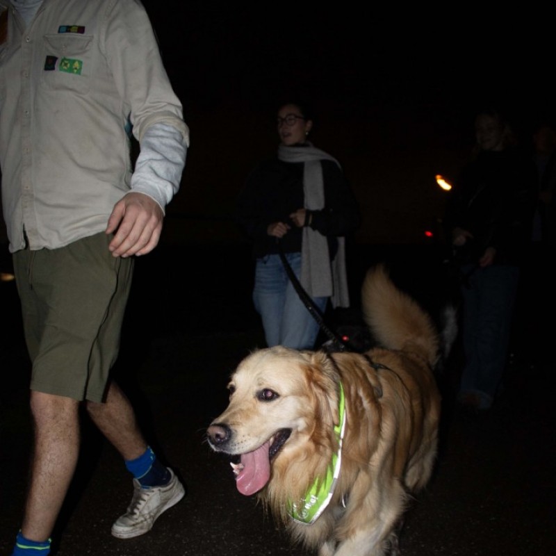 IMG 2438 - Scouts en Gidsen Zaventem 