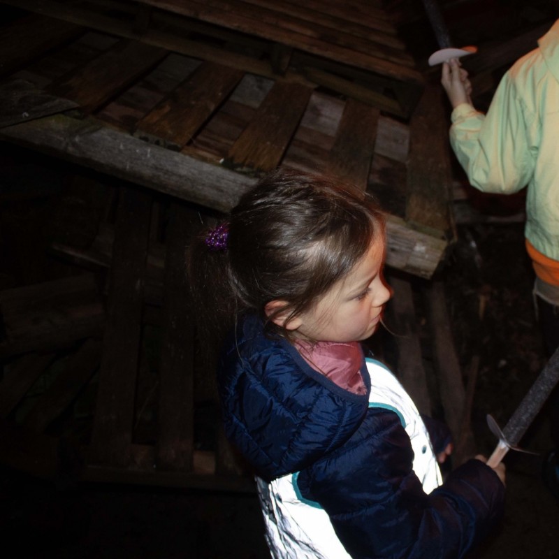IMG 2441 - Scouts en Gidsen Zaventem 